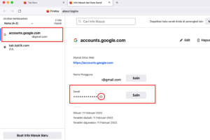 Cara Mengecek Password Gmail