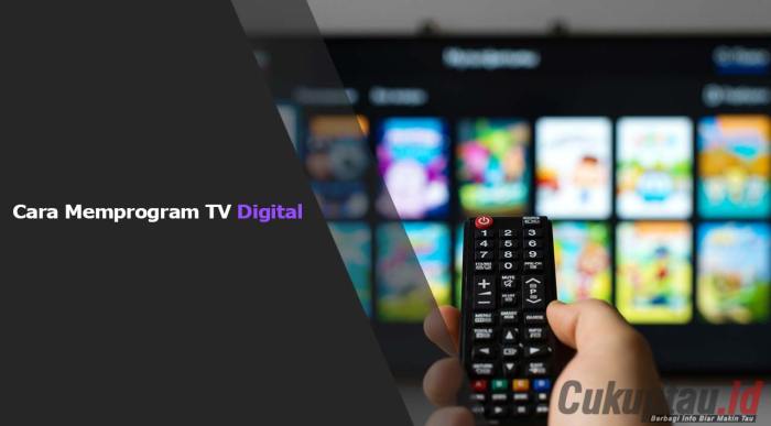 Cara Memprogram Tv Digital