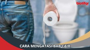 Cara Mengatasi Bab Cair