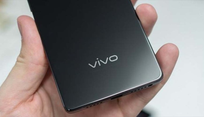 Cara Mengecek Tipe Hp Vivo