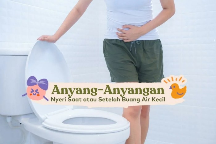 Cara Mengatasi Sering Buang Air Kecil Pada Wanita