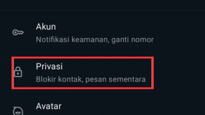 Cara Tahu Pesan WA Sudah Dibaca Walau Centang Biru Mati