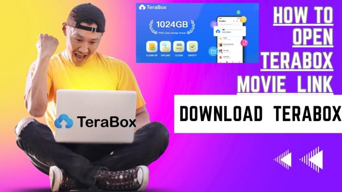 Cara Nonton Video Di Terabox
